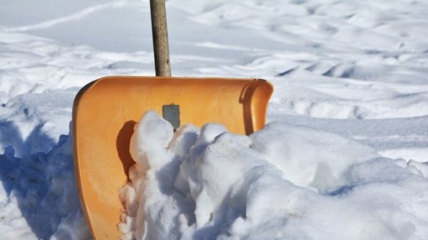 Волонтеры "Снежного штурма" выйдут на уборку снега в Барнауле 22 января