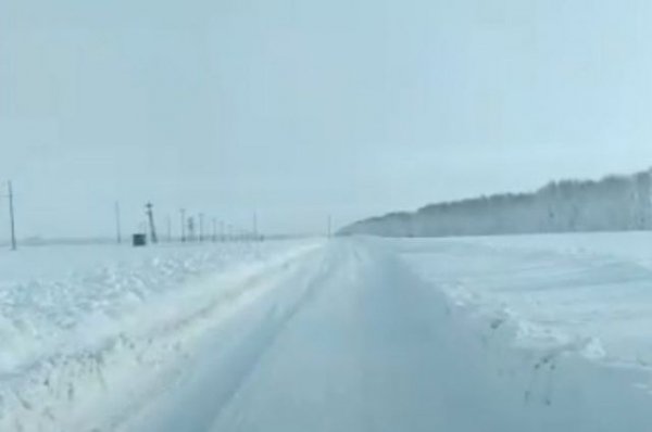 Жители Алтайского края жалуются на заметенные снегом дороги