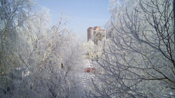 Морозы на Алтае продержатся до 3 февраля