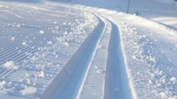 В Барнауле пройдет второй этап любительского кубка по лыжным гонкам