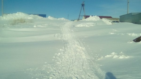 Жители поселка в пригороде Барнаула неделю завалены снегом