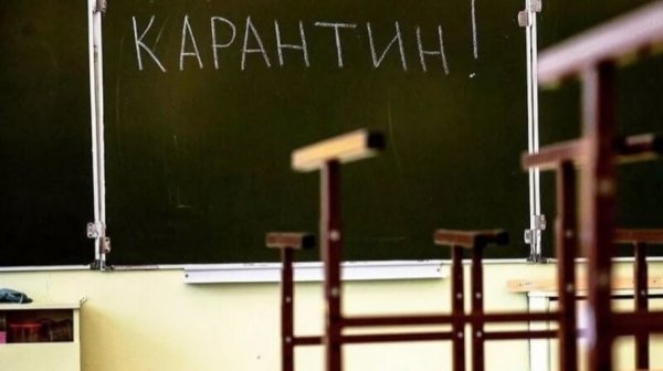 Несколько школ закрыли в Алтайском крае на карантин из-за ОРВИ