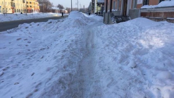 "Заячьи тропы": общественники раскритиковали работу мэрии Барнаула из-за уборки снега