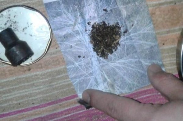 Алтайские полицейские нашли у мужчины больше килограмма марихуаны