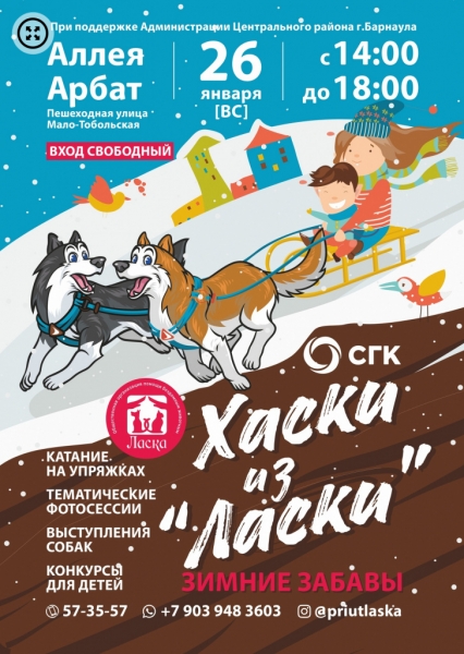 В Барнауле пройдут зимние забавы с собаками из приюта