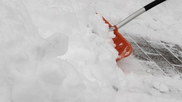 Барнаульцев приглашают почистить снег за деньги