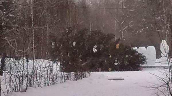 Новогодняя елка в Омске упала на детскую горку