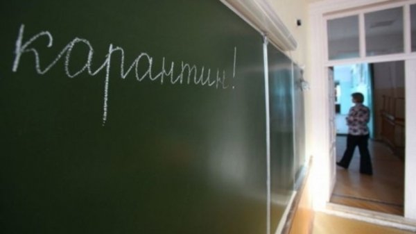 50 школ и 39 детсадов в Алтайском крае закрыто на карантин по гриппу и ОРВИ