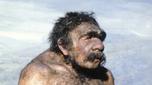 Ученые выяснили, откуда на Алтае появились неандертальцы