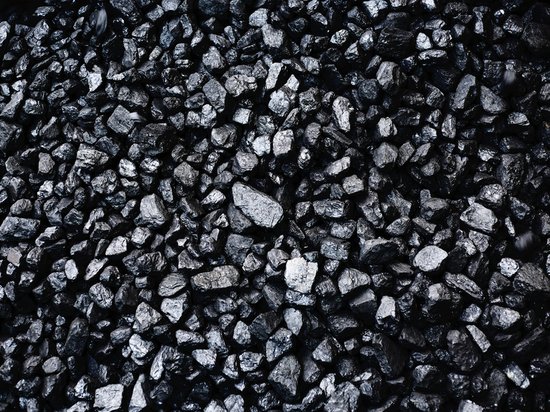 Жителю Алтайского края дали «условку» за наворованный уголь