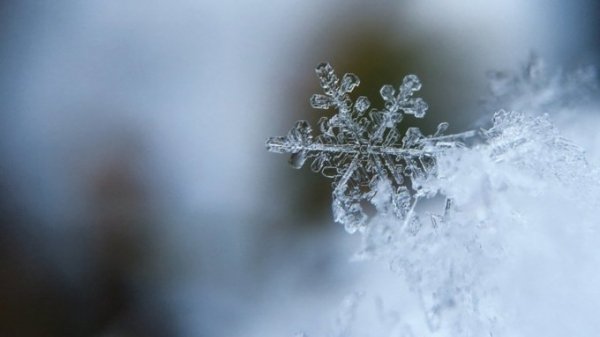 В Алтайском крае 10 января ожидаются морозы до -28°C