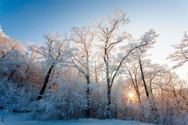 Погода 27 января в Алтайском крае: небольшой снег и до +2 градусов