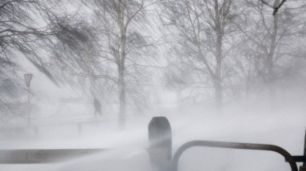 Как водителям вести себя в метель и снежную бурю. Советы спасателей