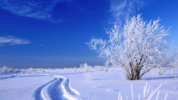 Снега не будет. О погоде в Алтайском крае 21 января