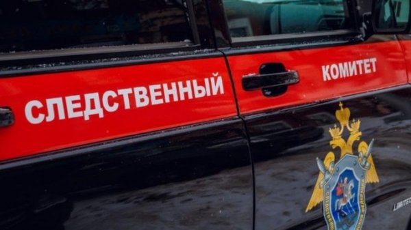 Алтайский следственный комитет заинтересовался смертью восьмимесячного мальчика