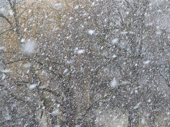Снежная буря отрезала Бийск от внешнего мира — дороги перекрыты