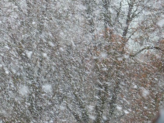 Метели и морозы накроют Алтайский край 29 января