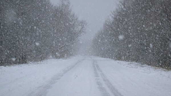 Снег и ветер. О погоде в Алтайском крае 27 января