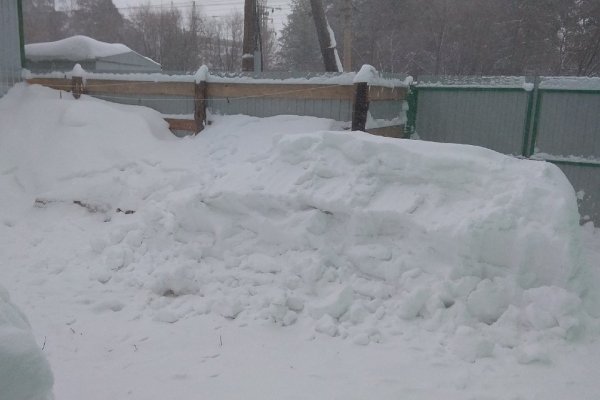 Не коллапс, а бизнес: сколько можно заработать на борьбе со снегом в Барнауле