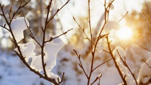 Самое время для зимних прогулок. О погоде в Алтайском крае четвертого января