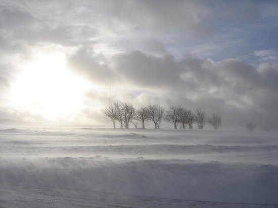 Снег и ветер придут в Алтайский край в первые дни нового года