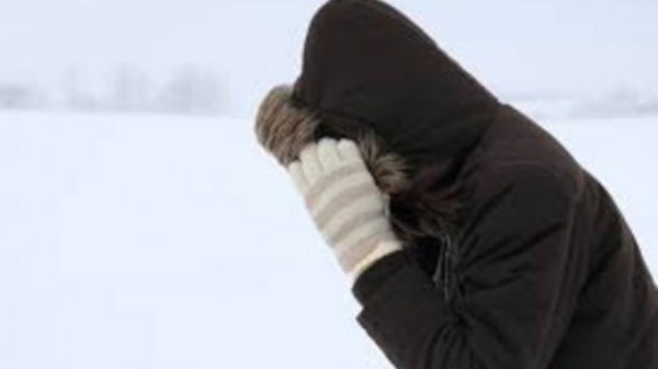 Местами порывы. 25 января на Алтай снова вернется ветер