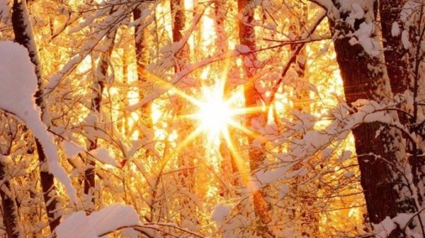 Зима без сюрпризов. О погоде в Алтайском крае 13 января