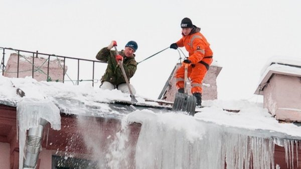 Не коллапс, а бизнес: сколько можно заработать на борьбе со снегом в Барнауле