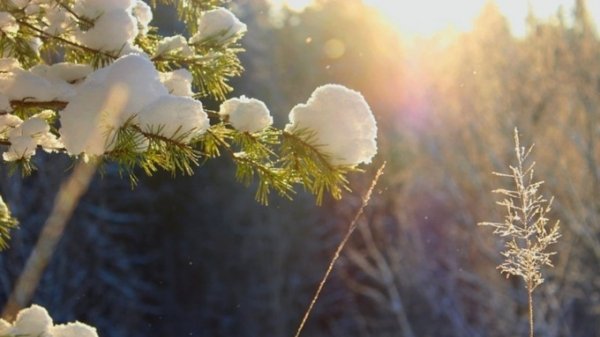 Зима продолжает радовать теплом. О погоде в Алтайском крае 12 января