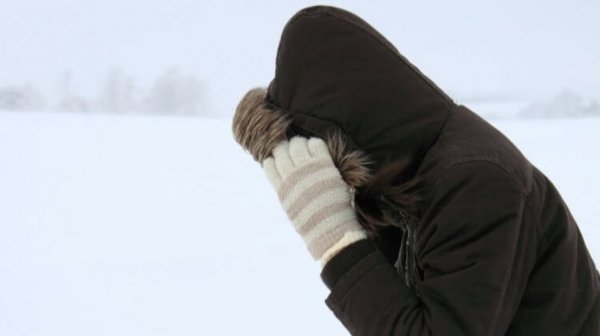 Перед Старым новым годом в Алтайском крае похолодает до -30С