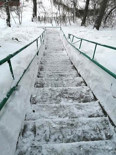 Барнаульские студенты расчищали снег на аллее ветеранов на Аванесова