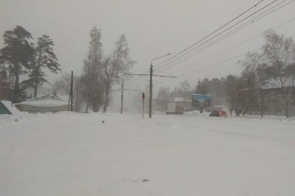Алтайские села, отрезанные снегом, начали испытывать дефицит продуктов