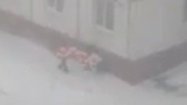 Миссия невыполнима. В Барнауле дети не смотря на метель пытались донести домой шарики