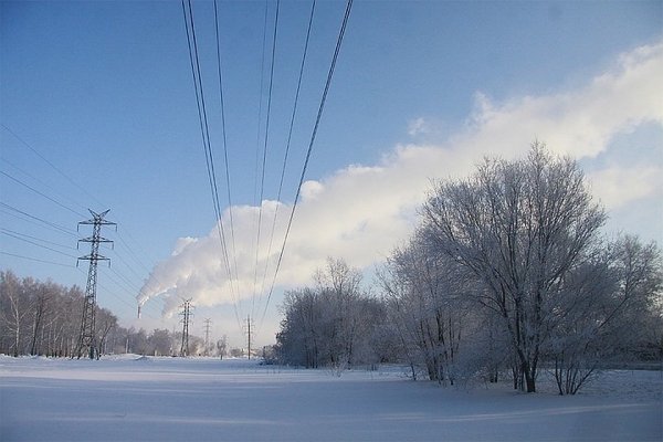 На смену метелям идут сибирские морозы: февраль на Алтае может стать самым холодным месяцем
