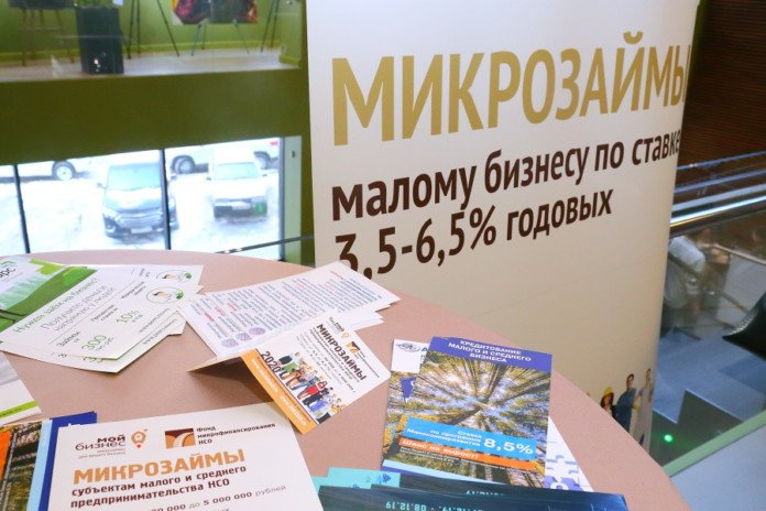 Новосибирская область вышла на второе место по онлайн-микрозаймам в России