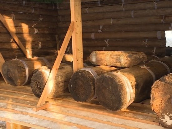 Древнейшее в мире деревянное сооружение изучают в Горно-Алтайске