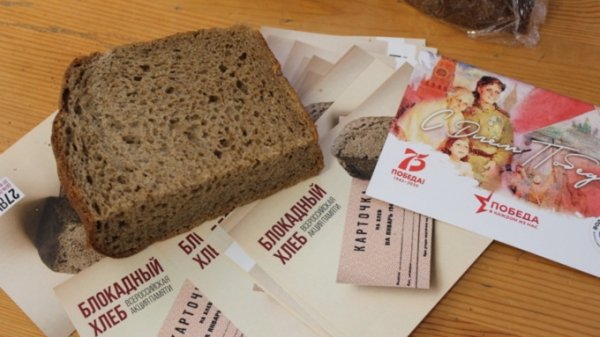 Жмых, хвоя и обойная пыль: в Барнауле прошла акция "Блокадный хлеб"