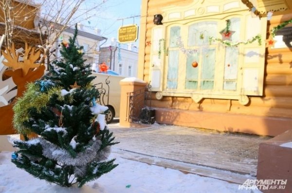 Где сдать елку в Барнауле