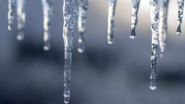 5 февраля в Алтайском крае потеплеет до +3°C