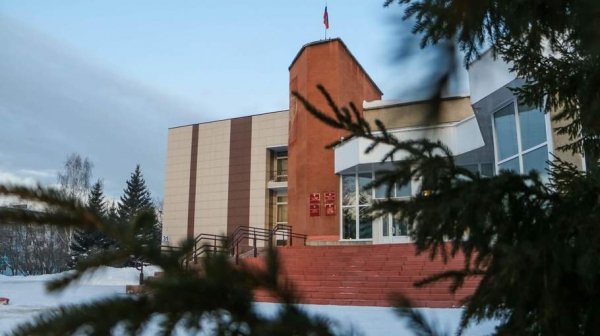 Прокуратура нашла нарушения в декларациях пяти Заринских депутатов