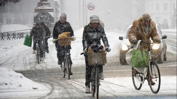Мэрия Барнаула в день выборов градоначальника просит пересесть на велосипеды