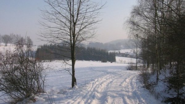 Весна близко. Прогноз погоды в Алтайском крае на 25 февраля
