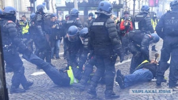 Депутат ГД Шаргунов предлагает амнистировать осужденных участников протестов в Москве
