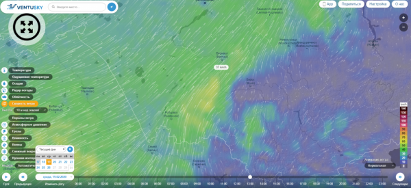Порывы ветра до 25 м/c: снежная буря накроет Алтайский край