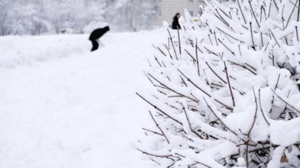 Самый снежный день. В Барнауле побит рекорд по осадкам