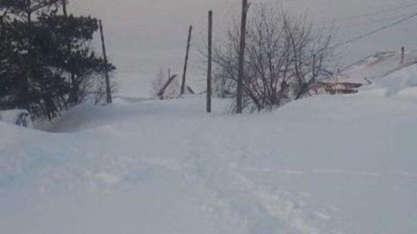 Жители алтайского села просят прислать к ним технику. Дома завалены снегом по крыши