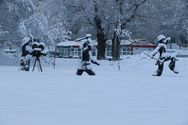 Мокрый снег облепил Барнаул: красивая фотоподборка