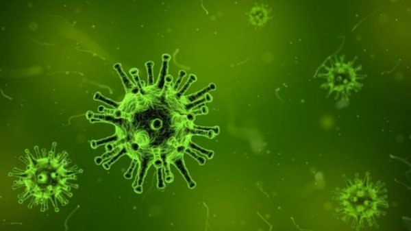 Число умерших от коронавируса в Китае выросло до 425 человек