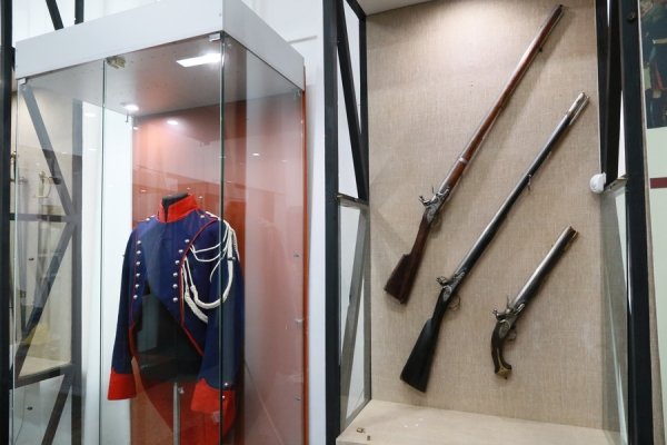 В Барнаул приехала масштабная выставка оружия (фото)
