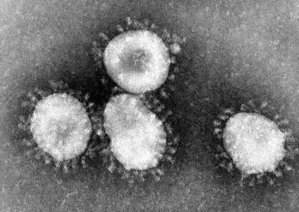 Россия потратит 1.2 миллиарда рублей из резервного фонда на борьбу с коронавирусом